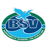 Bjerringbro SV