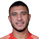 Rami Hisham Abdel Aziz  Rabia
