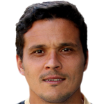 Pedro Miguel  de Castro Brandão Costa