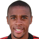Marcelo Augusto  Mathias da Silva