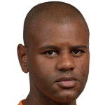 Luiz Henrique  Camargo