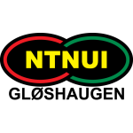 NTNUI logo NTNUI logo
