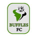 Buffles de Borgou FC
