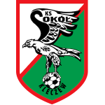 Sokół Kleczew