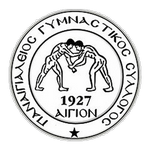 Panegialios logo Panegialios logo
