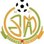 FC Meskheti Akhaltsikhe