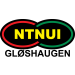 NTNUI Fotball