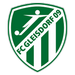 SC Gleisdorf 1919
