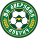 PFC Dobrudzha 1919 Dobrich
