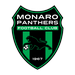 Monaro Panthers FC