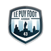 Le Puy-en-Velay Football 43 Auvergne