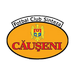 FC Sinteza Căuşeni