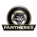 Panthères FC