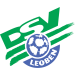 DSV Leoben