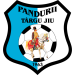 CS Pandurii Lignitul Târgu Jiu