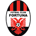 CS Fortuna Brazi