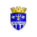 FC Edineţ