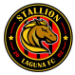 Stallion Sta. Lucia FC