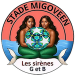 Stade Migovéen