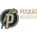 Puskás Ferenc Akadémia FC