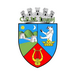 CS Vulturii 2009 Lugoj