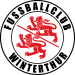 FC Winterthur Under 18