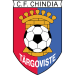 CF Chindia Târgovişte