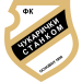 FK Čukarički Stankom