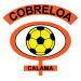CD Cobreloa