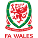 Wales Under 21