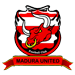 Pelita Bandung Raya FC