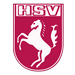 Hammer Spielvereinigung