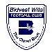 Wits University FC