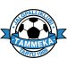 JK Tammeka Tartu II