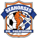 Southern California Seahorses