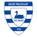 Salon Palloilijat