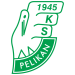 KS Pelikan Łowicz