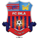 FC Dila Gori