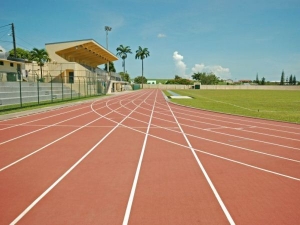 Stade Germain Barbier, Lamentin