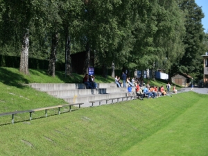 Rheinaustadion