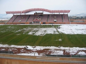 Hanefi Mahçiçek Stadyumu