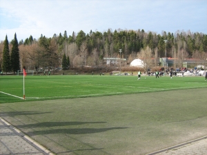 Kisapuiston tekonurmi, Lahti