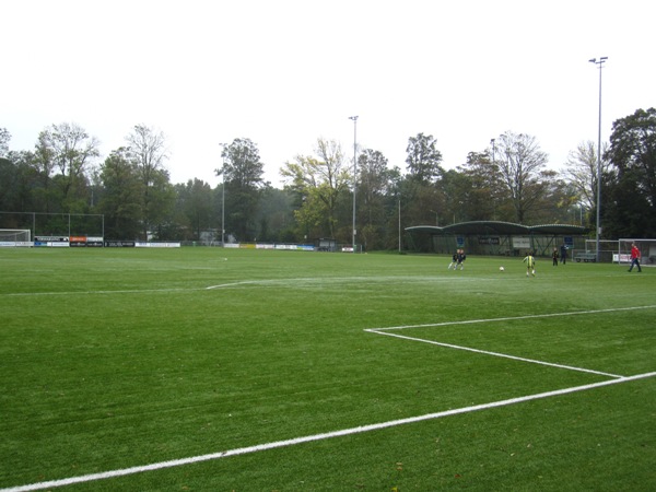 Sportpark Brasserskade (Concordia), Delft