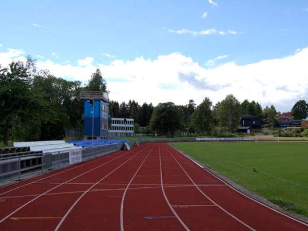 Ski stadion, Ski
