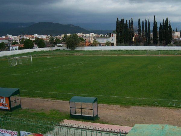 Dimotiko Stadio Psachna, Psachna