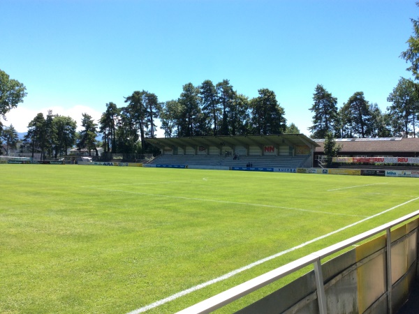 Waldstadion Hard, Hard am Bodensee