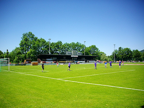 Almbacharena, Hallein